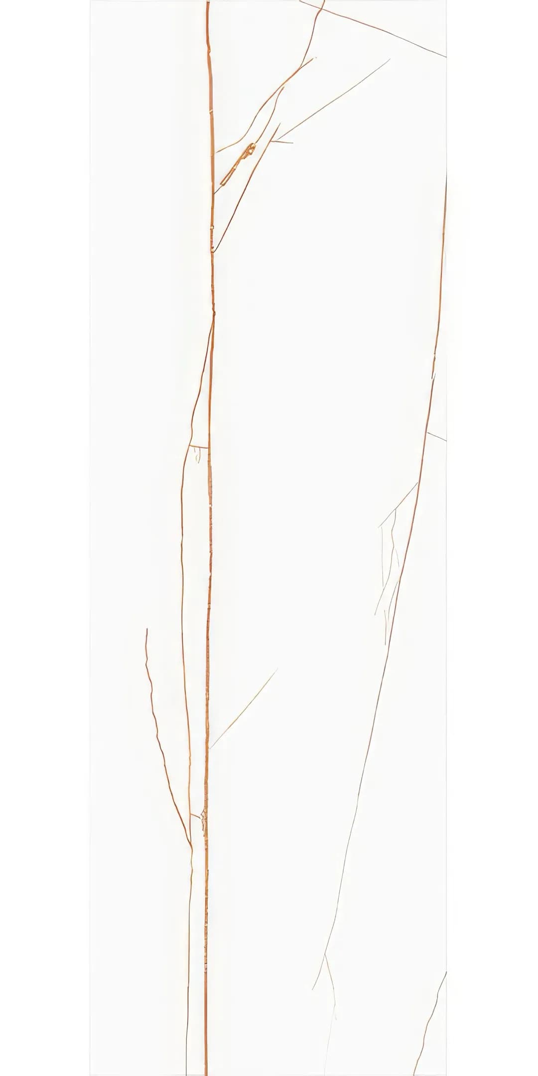 Porcelanato Accord Spider Statuario 80x240cm Color body