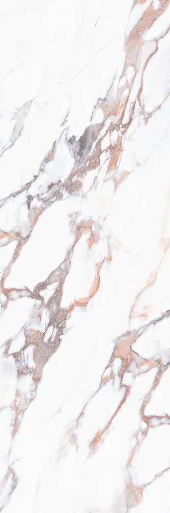 Porcelanato Accord Carpecia Wine 80x240cm Color body
